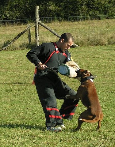 Anaïs ice cream's queen des Zé de Philoctête