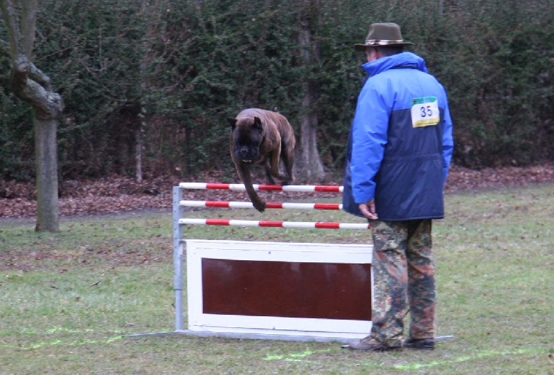 Sultan dit sirius de l'empire romain