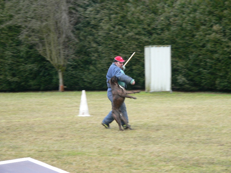 Sultan dit sirius de l'empire romain