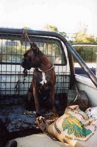 Sultan dit sirius de l'empire romain