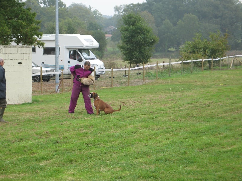 Anaïs ice cream's queen des Zé de Philoctête