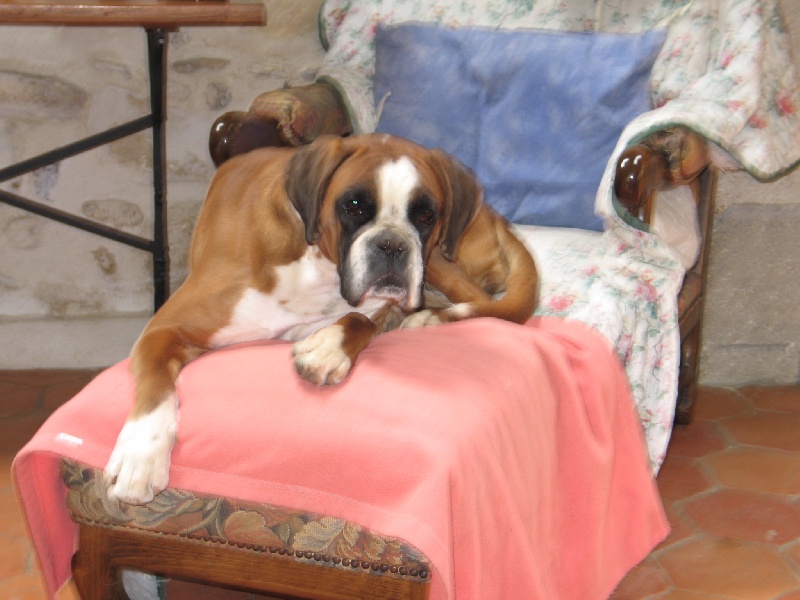 Anaïs ice cream's queen des Zé de Philoctête