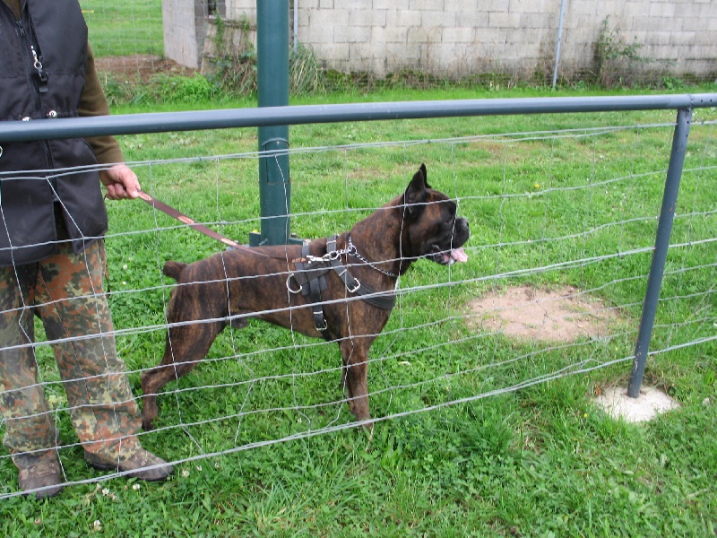 Sultan dit sirius de l'empire romain