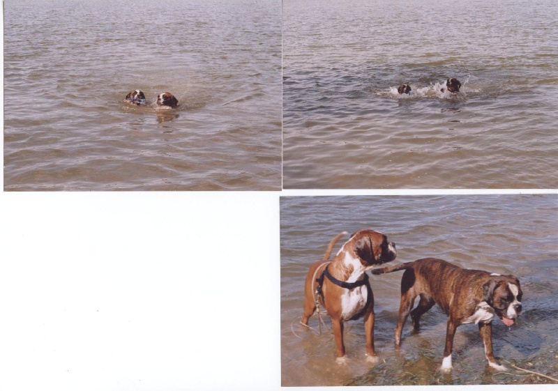 Anaïs ice cream's queen des Zé de Philoctête