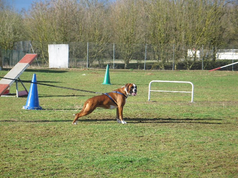 Anaïs ice cream's queen des Zé de Philoctête