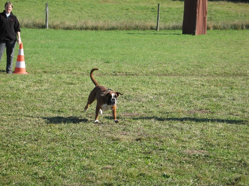 Anaïs ice cream's queen des Zé de Philoctête