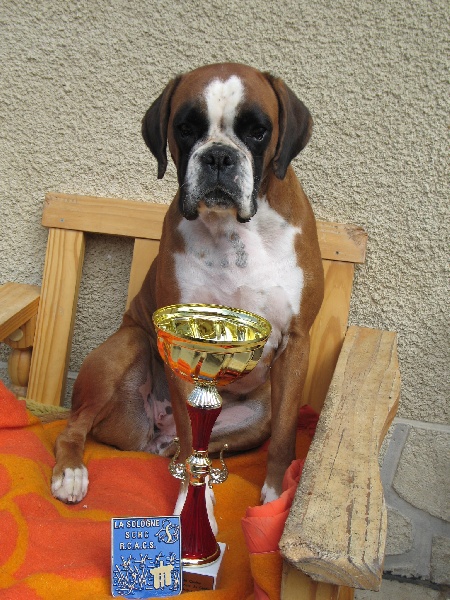 Anaïs ice cream's queen des Zé de Philoctête