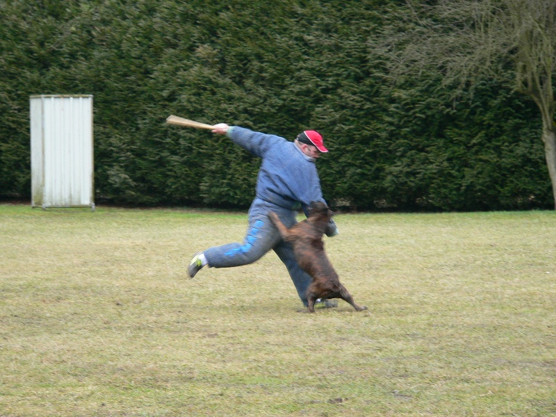 Sultan dit sirius de l'empire romain