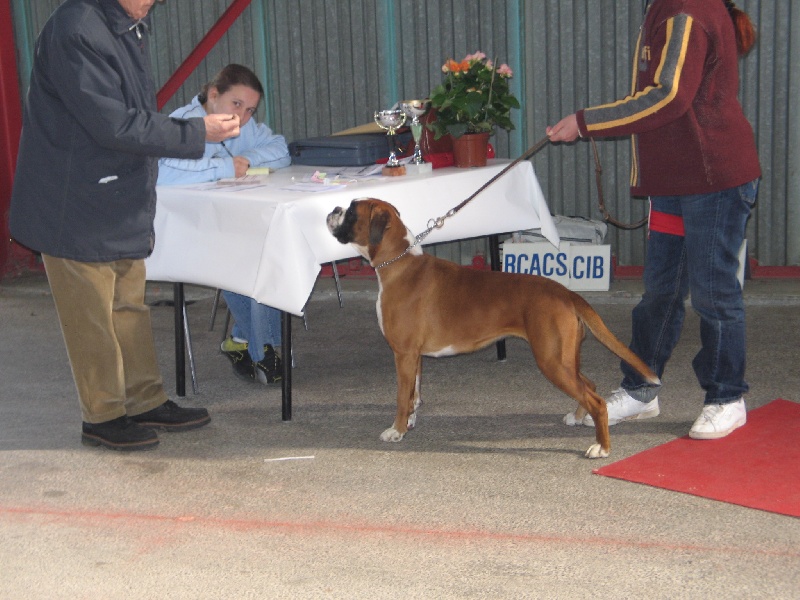 Anaïs ice cream's queen des Zé de Philoctête - 2 ème EXC