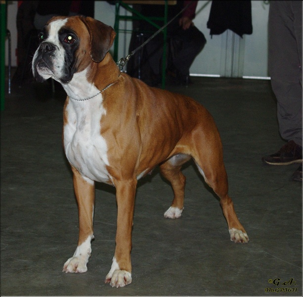 Anaïs ice cream's queen des Zé de Philoctête - 1ère EXC