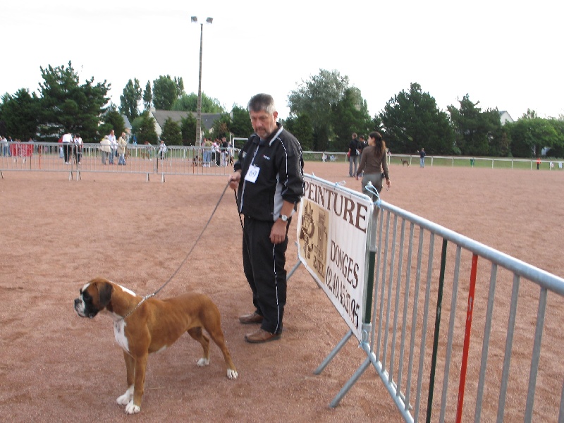 Anaïs ice cream's queen des Zé de Philoctête - Trés Bon