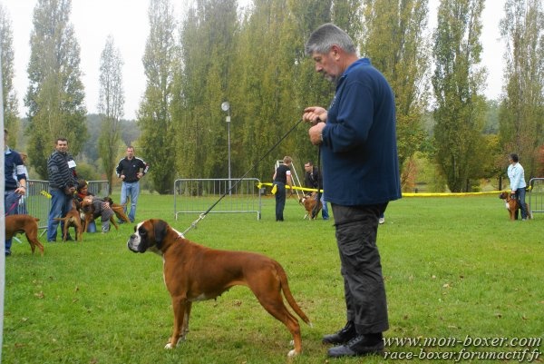 Anaïs ice cream's queen des Zé de Philoctête - 4è EXC/23 chiennes