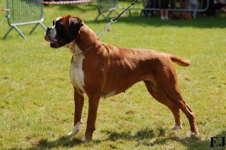 Anaïs ice cream's queen des Zé de Philoctête - EXC