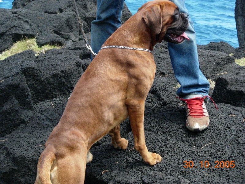 Vin diesel De la petite bicounosse