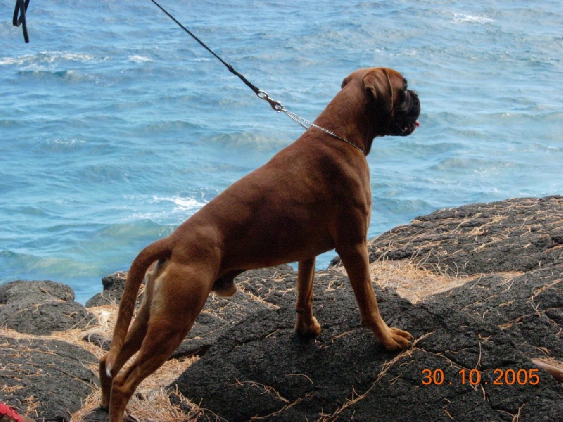 Vin diesel De la petite bicounosse