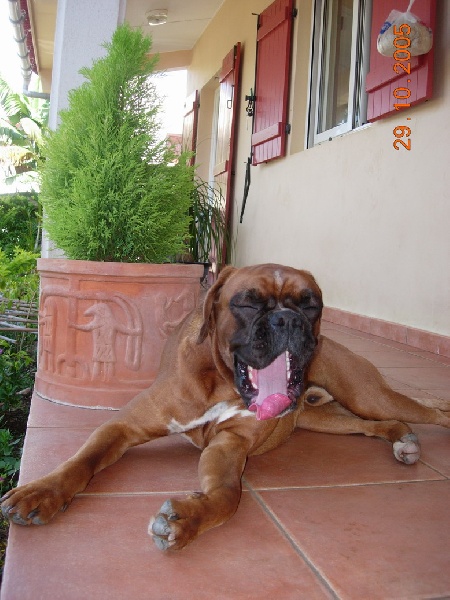 Vin diesel De la petite bicounosse