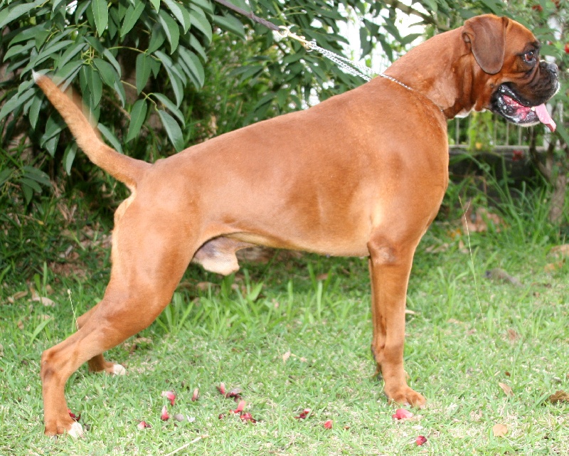 Vin diesel De la petite bicounosse