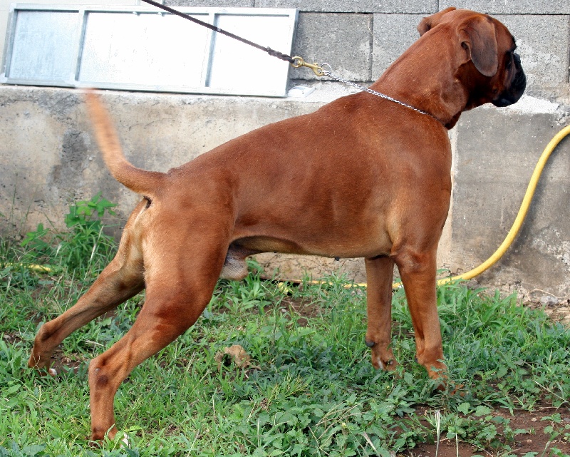 Vin diesel De la petite bicounosse