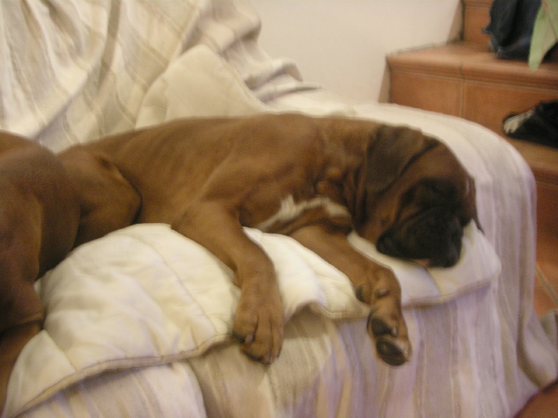 Vin diesel De la petite bicounosse