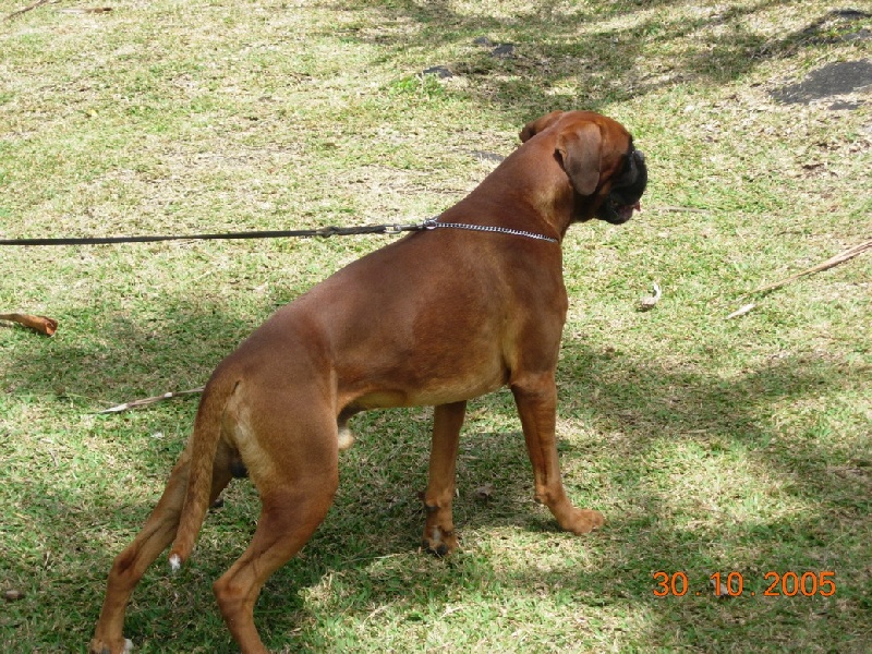 Vin diesel De la petite bicounosse