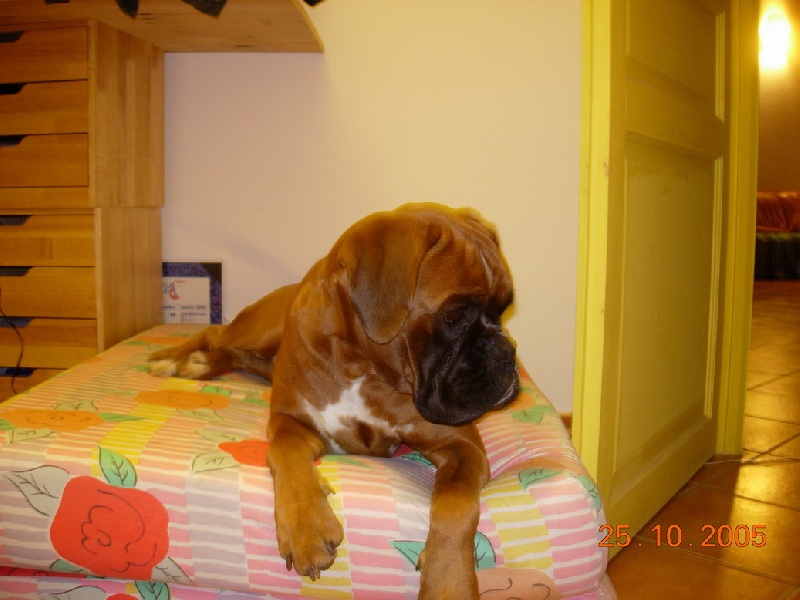 Vin diesel De la petite bicounosse