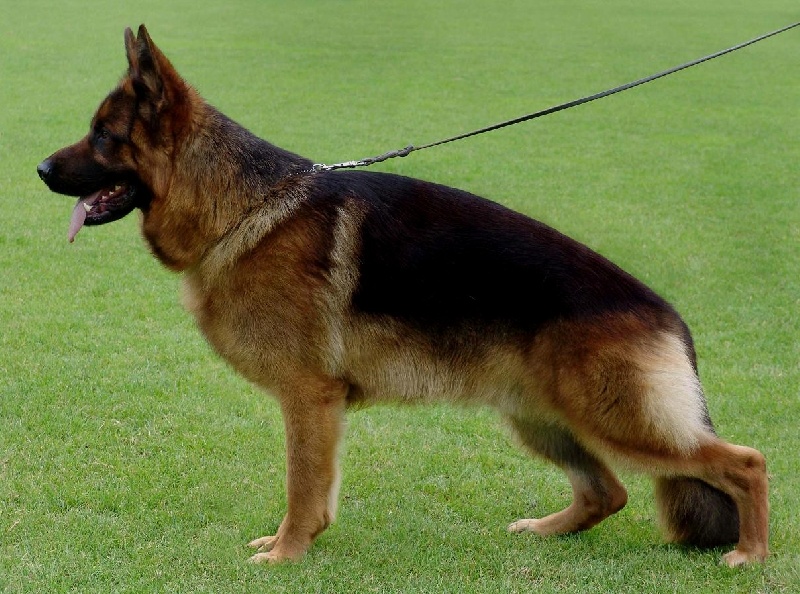 Publication : de l'Alda