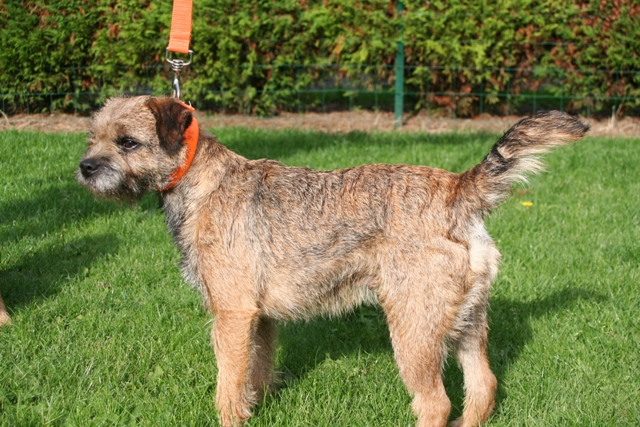 Publication : de la Source Riante