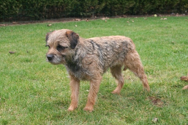 Publication : de la Source Riante