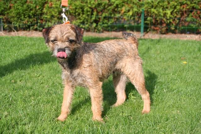 Publication : de la Source Riante