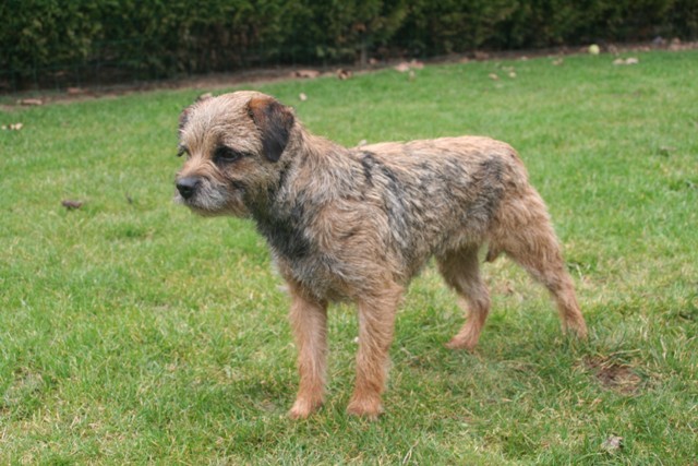 Publication : de la Source Riante