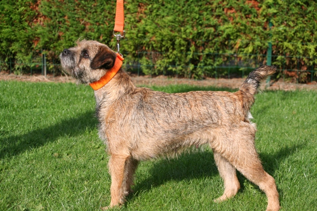 Publication : de la Source Riante