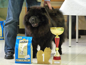 CH. F. ana - black du clos des parrots