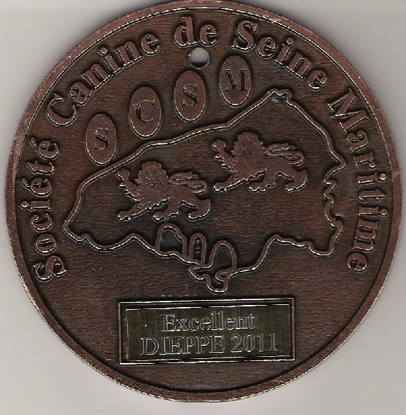 CH. F. ana - black du clos des parrots