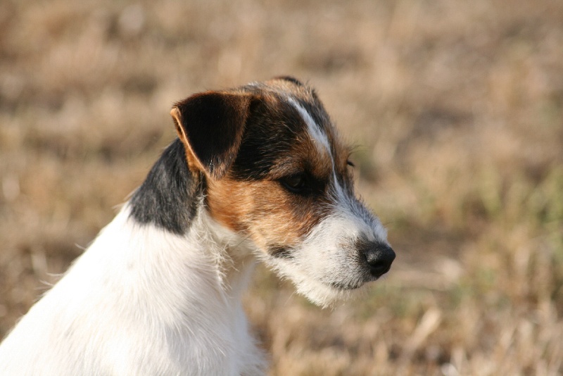 Publication : du Coeur de Caro Auteur : CG