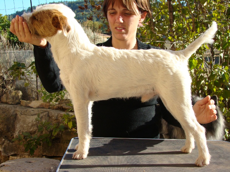 Publication : du Coeur de Caro