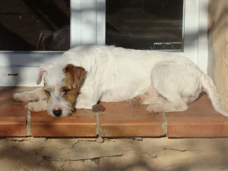 Publication : du Coeur de Caro