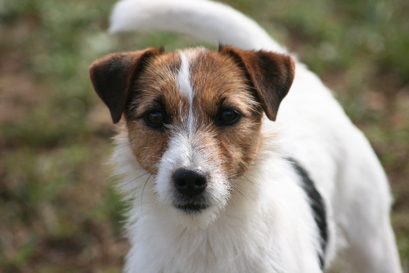 Publication : du Coeur de Caro Auteur : CG