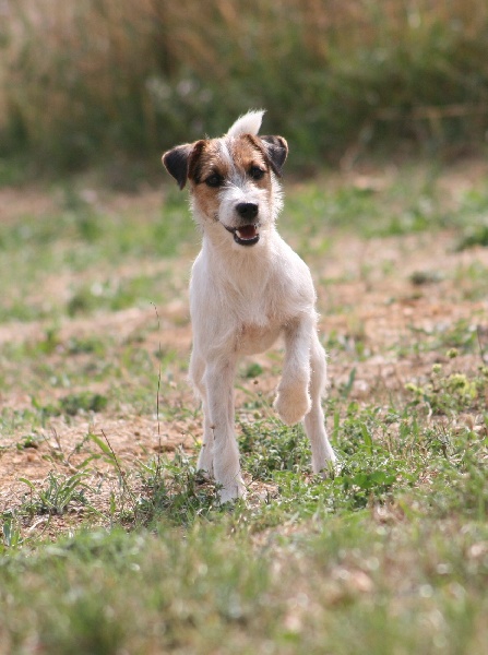 Publication : du Coeur de Caro Auteur : CG