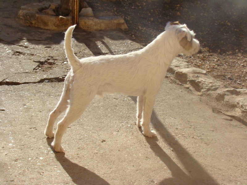 Publication : du Coeur de Caro