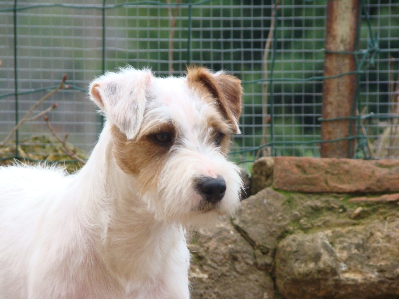 Publication : du Coeur de Caro