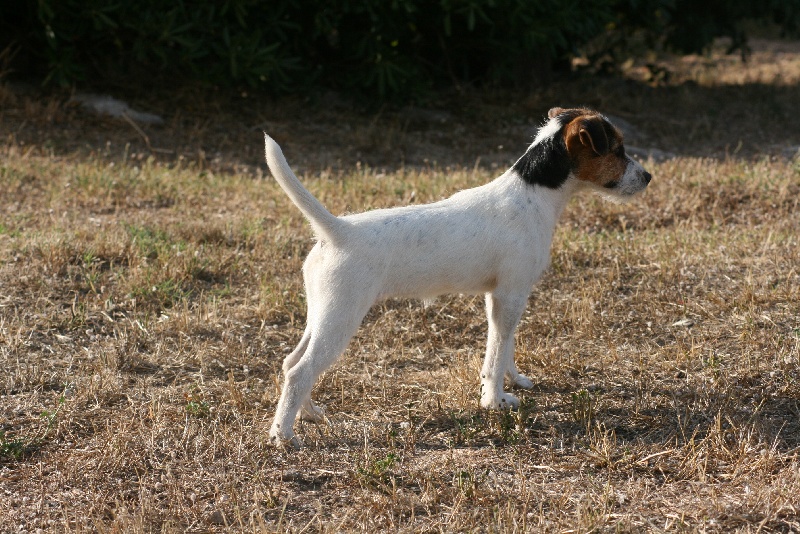 Publication : du Coeur de Caro Auteur : CG