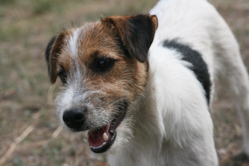 Publication : du Coeur de Caro Auteur : CG