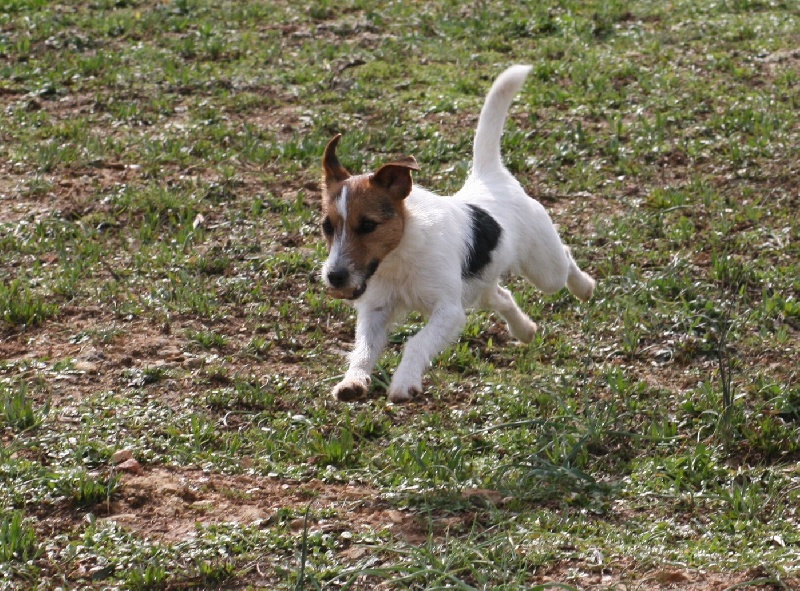 Publication : du Coeur de Caro Auteur : CG