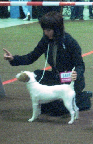 Publication : du Coeur de Caro