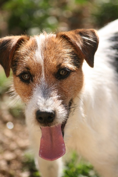 Publication : du Coeur de Caro Auteur : CG