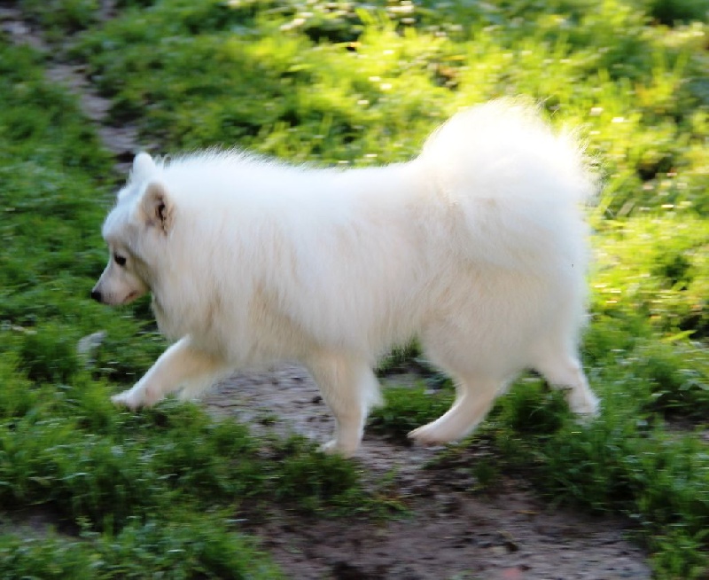 Publication : Des jardins de margaux