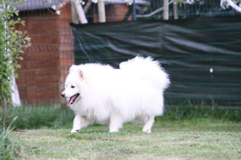 Publication : Des jardins de margaux