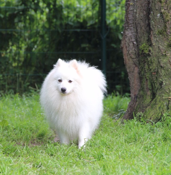 Publication : Des jardins de margaux