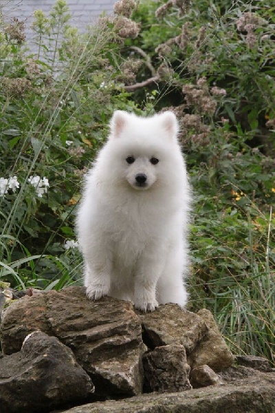 Publication : Des jardins de margaux