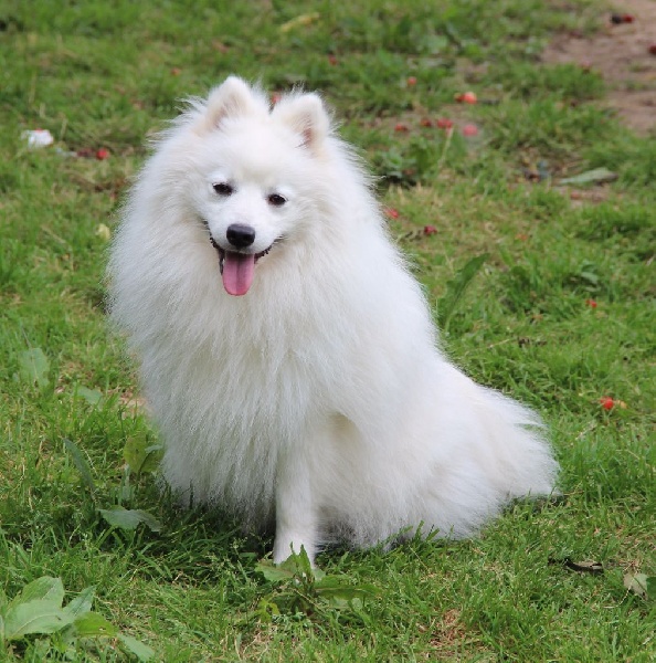 Publication : Des jardins de margaux